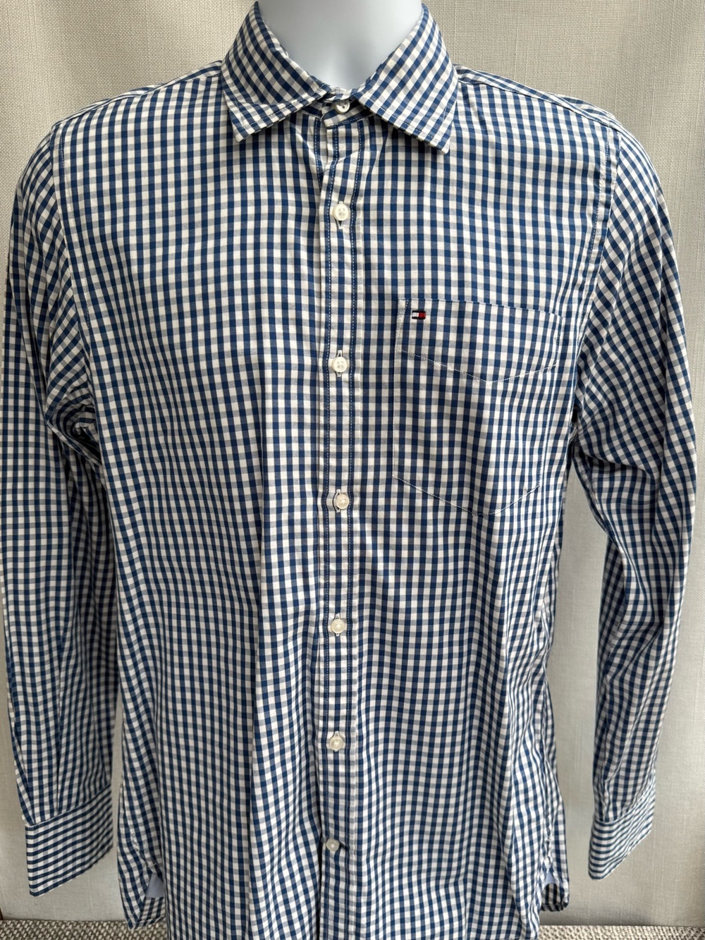 Tommy Hilfiger Blue and White Gingham Button-Down Shirt